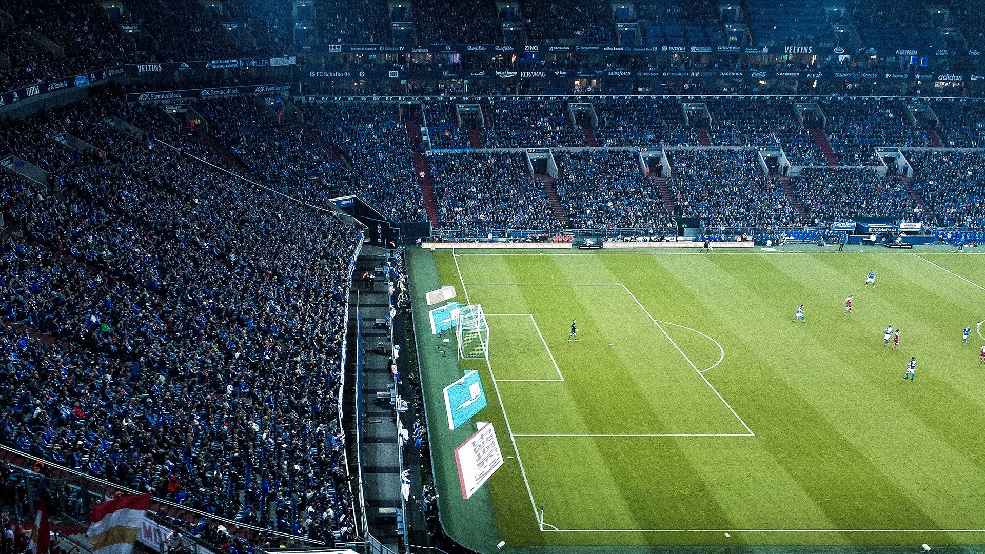 塞内加尔马术协会与科技公司合作,开发虚拟现实训练平台,提升骑手技能。